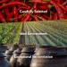 Chung Jung One Hot Pepper Paste Gold (Gochujang) 2.2lb - Medium Hot - No Corn Syrup - Korean Traditional Sunchang Brown Rice Red Pepper Paste - Gochujang 2.2 Pound - Buy Online on GoSupps.com