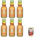 Italian Gourmet E.R. Arizona Mucho Mango Pack of 6 Mango Drinks 500ml + Gourmet Italian Pulpa 400g
