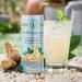 Folkington's Ginger Beer 12 x 250ml Cans - Premium Sparkling Soft Drink and Perfect Gin Mixer - Buy Online on GoSupps.com