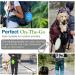 Pawaboo Foldable Dog Bowl 2 Pack 450ml Travel Bowls for Dogs | Portable & Lightweight Pet Accessories - Buy Online on GoSupps.com