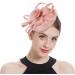 Z&X Sinamay Fascinator Pillbox Hat with Headband & Hair Clip - Elegant Nude Pink Hat for Cocktail & Tea Parties - One Size - Buy Online on GoSupps.com