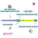 Kittyrama Cats & Kittens Collars | Vogue Featured Vet Approved Hypoallergenic & Comfortable - Shop Now! - Buy Online on GoSupps.com