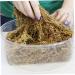 Buy Fresh Dried Sphagnum Moss - 150g Bag | Ideal for Reptiles Terrariums & Pet Litter - Buy Online on GoSupps.com