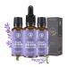 Lavender Oil Essential Oil(3PACK of 1OZ) with Eye Dropper|100% Pure Undiluted Natural Oil with Eye Dropper for Diffuser Humidifier Aromatherapy Hair Skin|Dropping CAPS for Diffuser Lavender 1 Fl Oz (Pack of 3)