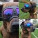 Large Dog Goggles Anti-UV Sunglasses for Large-Medium Dogs in Clear Blue - Fog-Proof and Windproof Eyewear - Buy Online on GoSupps.com