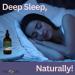Herb Lore Organic Goodnight Tincture - Liquid Sleep Aid Drops with Valerian Root & Passion Flower Extract for Adults & Kids - Melatonin Free Herbal Sleep Supplement, 2 fl oz 2 Fl Oz (Pack of 1) - Buy Online on GoSupps.com