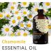 Gardenia Essential Oil and Chamomile Essential Oil 4 Fl Oz 120ML for Diffuser Humidifier Yoga Cleaning DIY Candle Soap Making Perfume Gift for Women Essential Oils - Buy Online on GoSupps.com