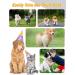 Dog Clippers Professional Dog Grooming Clippers for Thick Coats Hair Rechargeable Low Noise Cordless Pet Hair Trimmer Shaver Kit with Ceramic Blade LED Display Pet Cat Clippers for Dogs Cats - Buy Online on GoSupps.com