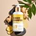 Shampooing naturel au gingembre avec huile de noix de coco pour la croissance et la r paration des cheveux renforce les cheveux ab m s contr le des frisottis renforce l'hydratation et les - Buy Online on GoSupps.com