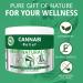 Cannabi Relief - Natural Hemp Cream PRO 10 FL OZ - Hemp Gel with Rosemary Cocos Oil Camphor & Menthol - Hemp Oil Extract for Muscle Pain Relief Arthritis - Neck Back Knees Foot Nerve - Extra Strength - Buy Online on GoSupps.com