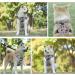 Eyin Dog Harness for Large Dogs - Adjustable Breathable Reflective Padded with Handle & Front Bracket - Camouflage Size L (Neck: 42-60cm Chest: 47-86cm) - Perfect for Daily Training - Buy Online on GoSupps.com