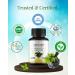 Stinging Nettle Root Extract Capsules - 1000mg - Organic Herbal Supplements for Hair Growth - 90 Veg Capsules - Buy Online on GoSupps.com