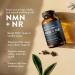 Mt. Angel Vitamins NMN Supplement + NR with Resveratrol & TMG, Dual NAD+ Precursors for Cellular Energy & Healthy Aging, 60 Capsules - Buy Online on GoSupps.com