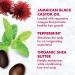Shea Moisture Coconut and Hibiscus Curl Enhancing Smoothie + Jamaican Black Castor Oil Leave-In Conditioner Bundle (2 Pack - 15 Oz Ea) - Buy Online on GoSupps.com
