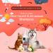 Animigo Flea & Tick Shampoo for Dogs & Cats - 500ml | pH Balanced Natural Flea Shampoo with Almond, Tea Tree, and Oatmeal for Sensitive Skin - Buy Online on GoSupps.com