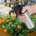 Tixiyu Plant Spray Bottle 250ML Stainless Steel Hand Press Water Spray Bottle for Plants Multifunctional Pump Pressure Flower Watering Can - Buy Online on GoSupps.com