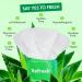 FOMIN Travel Deodorant Wipes - 50 Count - Refreshing Cucumber and Aloe - pH Balanced Hypoallergenic Mini Deodorant Wipes For Women and Men - Plastic-Free Individually Wrapped Underarm & Body Wipes Refresh - Cucumber Aloe - Buy Online on GoSupps.com