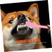 FRCOLOR 12pcs Teeth Supplies Cat Multi-function for Cats Dogs Tooth Small Double Household Handle - Buy Online on GoSupps.com