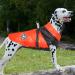 Jodsen Dog Jacket Winter Waterproof Dog Coat Reversible Warm and Cozy Dog Jacket Puppy Warm Jacket Apparel Vest Reflective Vest Clothes Windproof Dog Cold Weather Jacket Small Medium Dog (Orange L) L Orange - Buy Online on GoSupps.com