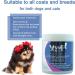Yuup! Professional Hair Mask | Extreme Volume & Moisture - 1000 ml | International Shipping Available - Buy Online on GoSupps.com
