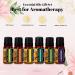 Top 6 Organic Essential Oils Set with Bracelet - Lavender Eucalyptus Rosemary Frankincense Sweet Orange Lemongrass - Perfect for Diffuser DIY Skin & Hair Care - Buy Online on GoSupps.com