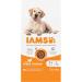 IAMS Complete Dry Dog Food for Senior 7+ Large Breeds with Chicken 12 kg Chicken 12 kg (Pack of 1) - Buy Online on GoSupps.com