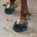 Colcolo Rubber Hoof Boots for Horses | Durable Hoof Protection for Riding & Training | International Shipping Available - Buy Online on GoSupps.com