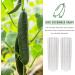 CALLARON Garden Fruit Mould 2pcs Vegetable Shaping Mold Clear Fruit Star Cucumber Mold Garden Cucumber Mold Flower Shape - Buy Online on GoSupps.com