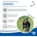 Nutrilabs Geridex Tablets for Senior Dogs - 60 pcs | Glucosamine & Hawthorn Supplements for Healthy Aging - Buy Online on GoSupps.com
