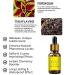 SecretVenom-Extra Strong Pheromones Pheromone Cologne for Men Attract Women Natural Body Essential Oil Lure Her Perfume for Men to Attract Women - Buy Online on GoSupps.com