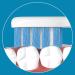 Replacement Brush Head for Olybo Electric Toothbrush - Compatible with S133 Standard | Optimal Cleaning & Care - Buy Online on GoSupps.com