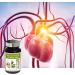 NUTRIEXPERT - Oliver Garlic Hawthorn - Helps to Control Cholesterol and Cardiovascular Health - Maintains Blood Pressure Balance - 30J Cure - Vegetable Capsules - Pack of 2 - Buy Online on GoSupps.com