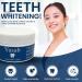 YASAB Teeth Whitening Powder | 6 Month Supply | Fast Sensitivity-Free & Enamel-Safe | Removes Years of Stains & Brightens Your Smile | Fresh Breath | - Buy Online on GoSupps.com