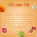 SAFA Citrus Oil - Vitamin C Serum | Non-Greasy & Fast Absorbing Moisturizer for Face & Body | Infused with Grapefruit Bergamot Neroli & Marigold Petals - Buy Online on GoSupps.com