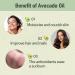 Aceite De Aguacate 2 Oz. Avocado Oil 2-PACK - Buy Online on GoSupps.com