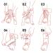 McDavid Ankle Brace with Straps - Maximum Support, Comfortable Compression & Breathable Design - Buy Online on GoSupps.com