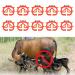 Buy SIKUAI Red Plastic Calf Weaners - 10 Pcs Calf Nose Ring Milk Sucking Preventer for Effective Weaning | Fast International Shipping - Buy Online on GoSupps.com