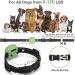 New Classic Dog Collars - Nylon Waterproof & Breathable | Easy to Handle for All Dog Sizes - Buy Online on GoSupps.com