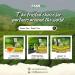 Zaam Green Tea - No Sugar Zero Calories 500g - Authentic Taste Experience - Buy Online on GoSupps.com