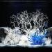 BEGONDIS 8-piece white artificial coral decoration set for aquariums transform your aquarium into an underwater world