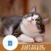 POPETPOP Veterinary Blood Pressure Monitor for Dogs & Cats - Universal Blood Pressure Cuff for Pets - Buy Online on GoSupps.com