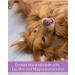 Lega Phyton 50 - Liver Support Tablets for Dogs & Cats | Silymarin Supplement | 24 Tablets - International Shipping Available - Buy Online on GoSupps.com