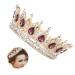 Elegant Wedding Crown Tiara | Round Rhinestones Bridal Jewelry for Women & Girls - Buy Online on GoSupps.com