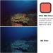 3-Pack Dive Filters for GoPro Hero 5/6/7/2018 Super Suit Housing - Color Correction for Scuba Diving & Underwater Media - Buy Online on GoSupps.com