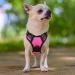 Rabbitgoo Dog Harness for Small Dogs - No Pull Adjustable & Breathable Pink XS - Safe Control & Comfort - Buy Online on GoSupps.com