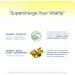 ProHealth Sirtuin 6 Activator | 60 Capsules | Fucoidan-Rich Seaweed Extract to Activate SIRT6 for Longevity, DNA & Cellular Support | Triple Lab-Tested, GMP-Manufactured in USA - Buy Online on GoSupps.com