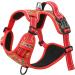 Heele Dog Crockery & Reflective No-Pull Harness for Small Dogs - Adjustable Padded Breast Harness & Dish in XS Flower Red - Buy Online on GoSupps.com