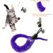 Buy 12-Piece Cat Wall Toys Replacement Set - Kitty Teaser Refills with Bells for Active Cats & Kittens - International Shipping Available - Buy Online on GoSupps.com