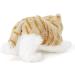 Zappi Co Plush Ginger Kitten Stuffed Toy - Safari Animals Collection (25cm) | Soft & Cuddly for Kids - Buy Online on GoSupps.com