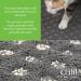 Catit Small Grey Litter Mat - Keep Your Space Clean and Tidy - Buy Online on GoSupps.com
